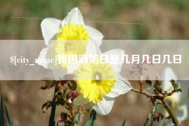 内江我国消防日是几月几日几日