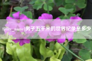 内江男子五千米的世界纪录是多少