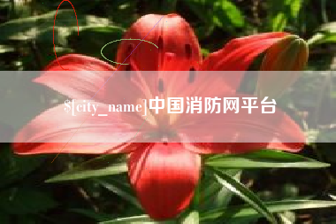 内江中国消防网平台
