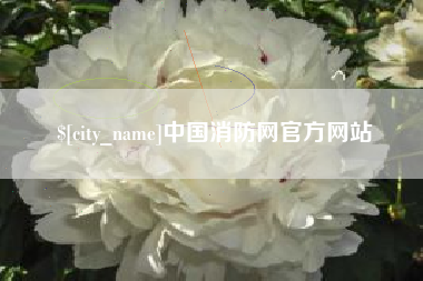 内江中国消防网官方网站