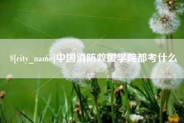 内江中国消防救援学院都考什么
