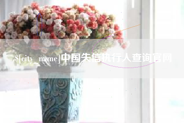 内江中国失信执行人查询官网