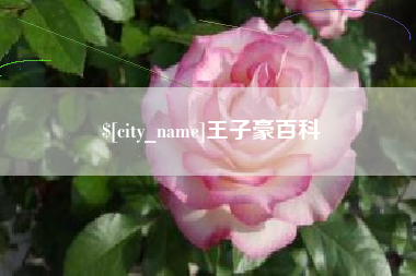 内江王子豪百科