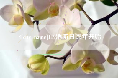 内江119消防日哪年开始