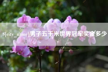 内江男子五千米世界冠军奖金多少