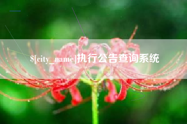 内江执行公告查询系统