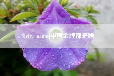 内江中国金牌都是啥