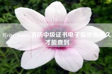 内江消防中级证书电子版查询多久才能查到
