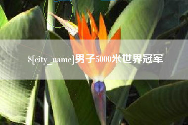内江男子5000米世界冠军