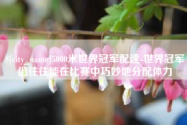 内江5000米世界冠军配速-世界冠军们往往能在比赛中巧妙地分配体力