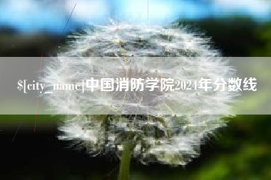 内江中国消防学院2024年分数线