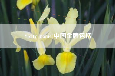 内江中国金牌包括