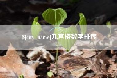 内江九宫格数字排序