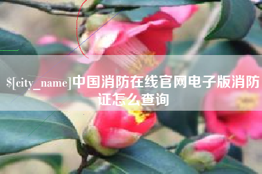 内江中国消防在线官网电子版消防证怎么查询