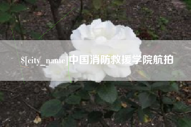 内江中国消防救援学院航拍