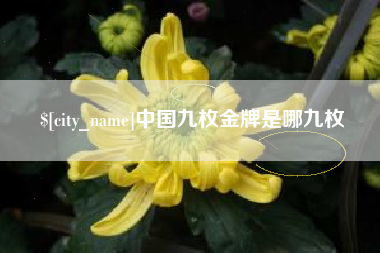 内江中国九枚金牌是哪九枚