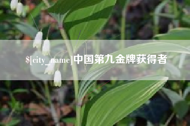 内江中国第九金牌获得者