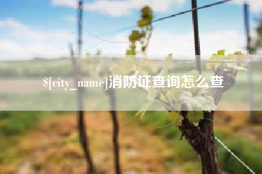 内江消防证查询怎么查