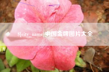 内江中国金牌图片大全