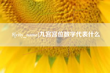 内江九宫宫位数字代表什么