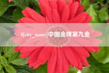 内江中国金牌第九金