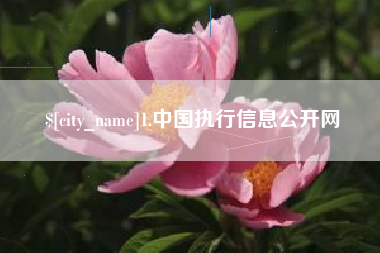 内江1.中国执行信息公开网
