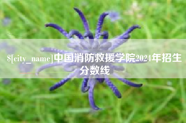 内江中国消防救援学院2024年招生分数线