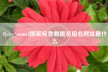 内江国家应急救援员报名网址是什么