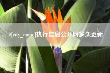 内江执行信息公开网多久更新