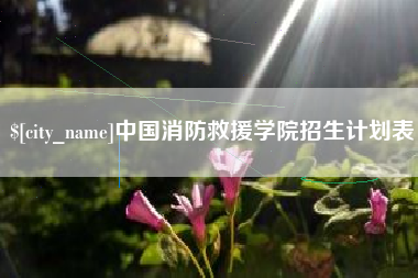 内江中国消防救援学院招生计划表
