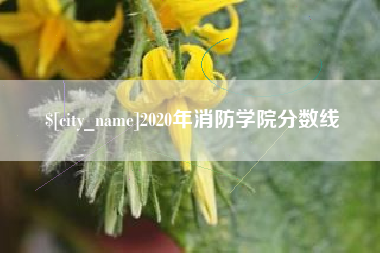 内江2020年消防学院分数线