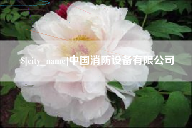 内江中国消防设备有限公司