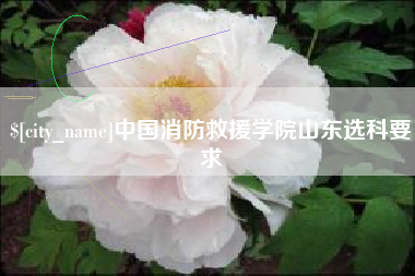内江中国消防救援学院山东选科要求