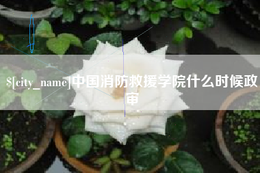 内江中国消防救援学院什么时候政审