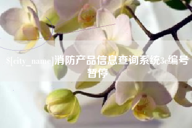 内江消防产品信息查询系统3c编号暂停