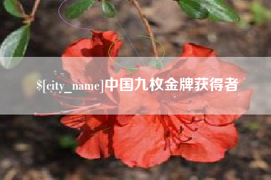 内江中国九枚金牌获得者