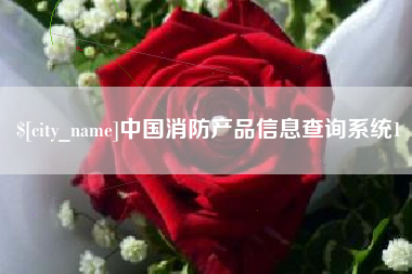 内江中国消防产品信息查询系统1
