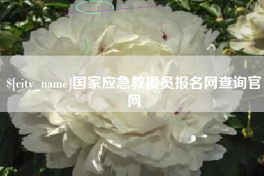 内江国家应急救援员报名网查询官网