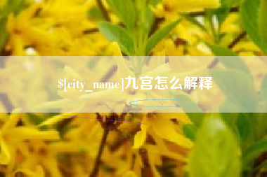 内江九宫怎么解释
