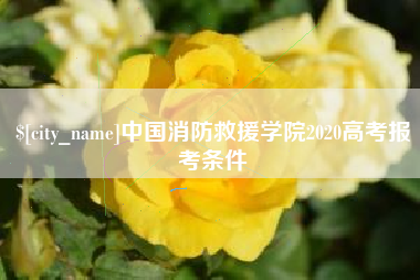 内江中国消防救援学院2020高考报考条件
