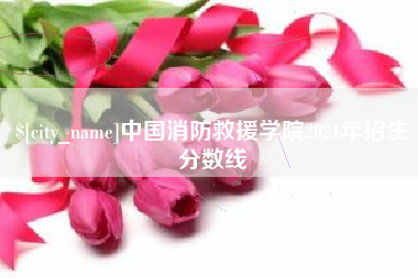 内江中国消防救援学院2021年招生分数线