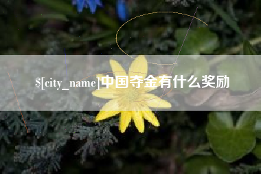 内江中国夺金有什么奖励