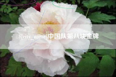 内江中国队第八块金牌