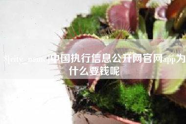 内江中国执行信息公开网官网app为什么要钱呢