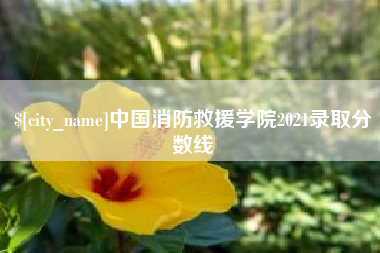 内江中国消防救援学院2021录取分数线