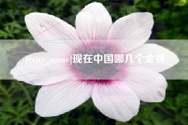 内江现在中国哪几个金牌