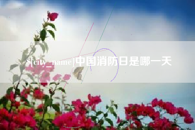 内江中国消防日是哪一天