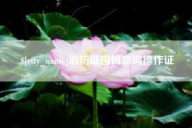 内江消防证国网查询操作证