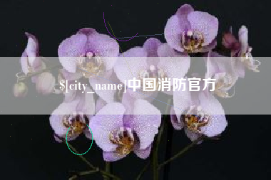 内江中国消防官方