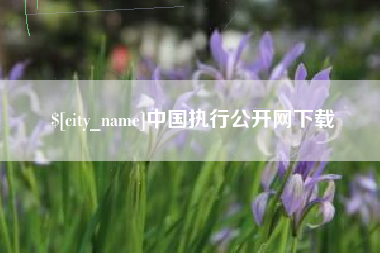 内江中国执行公开网下载